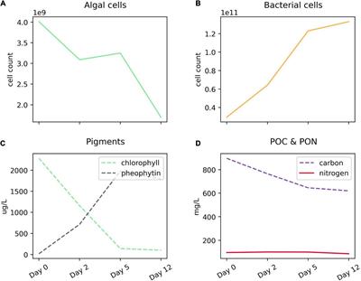 Degradation of Diatom Protein in Seawater: A Peptide-Level View